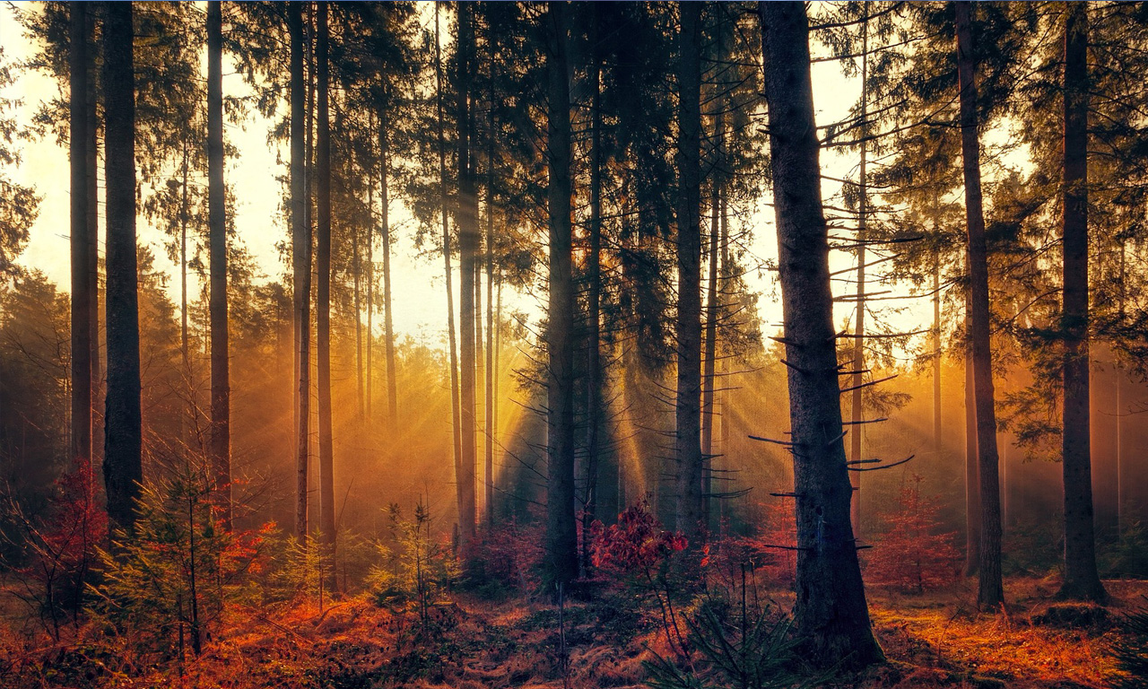 Jour d’automne
